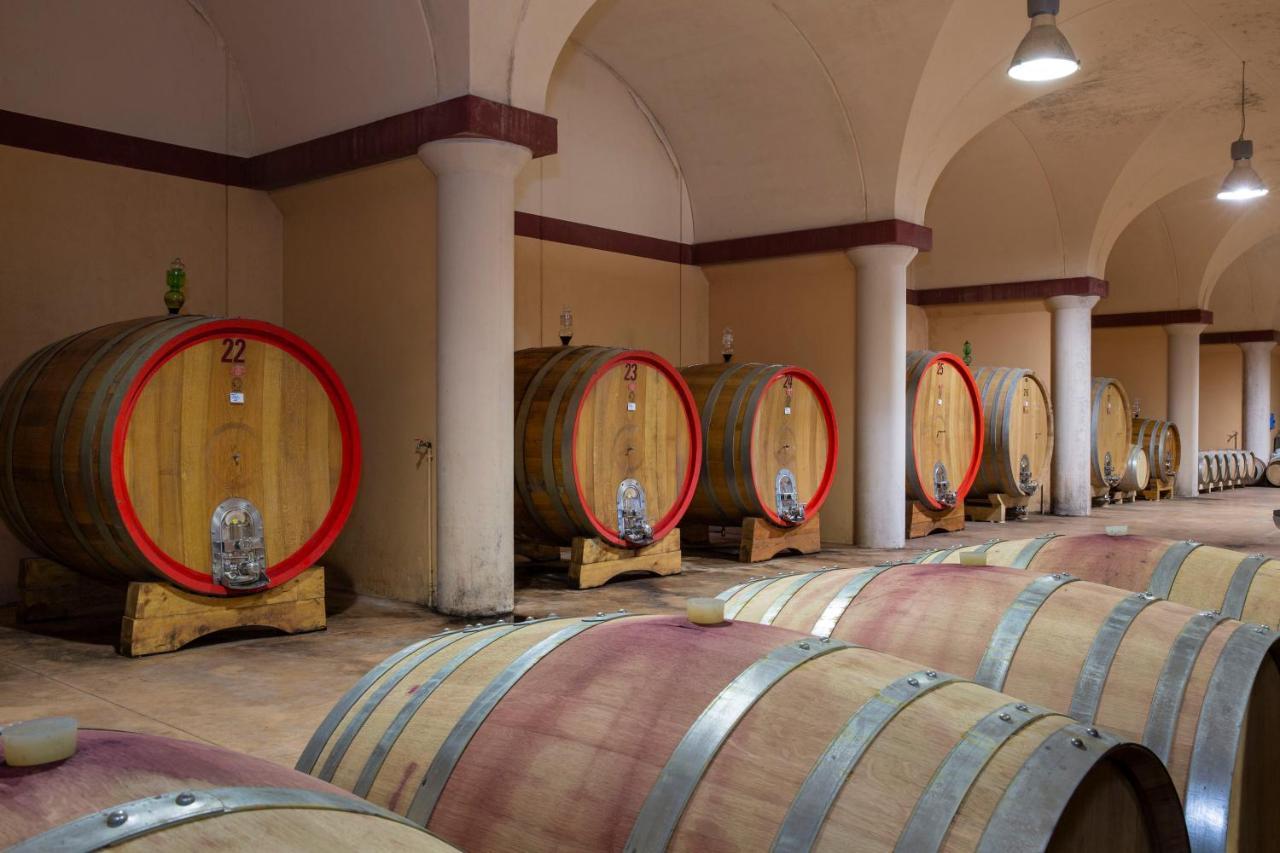 卡斯德尔诺沃贝拉登卡Borgo Argiano别墅 外观 照片